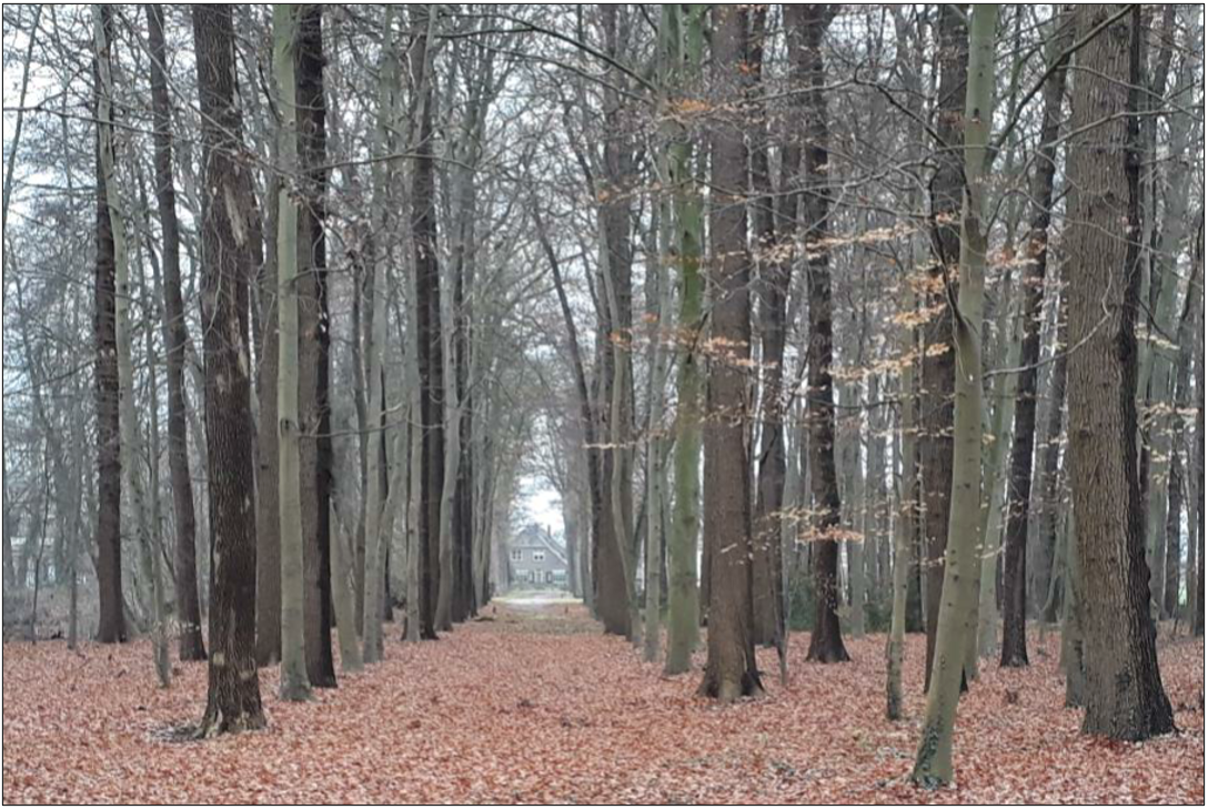 afbeelding "i_NL.IMRO.0150.TAM025-VG01_0016.png"
