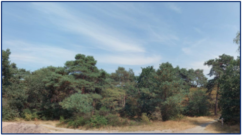 afbeelding "i_NL.IMRO.0160.0000BP00367-VG01_0004.png"