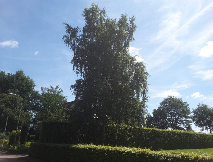 afbeelding "i_NL.IMRO.0177.BP20220002-GV01_0007.png"