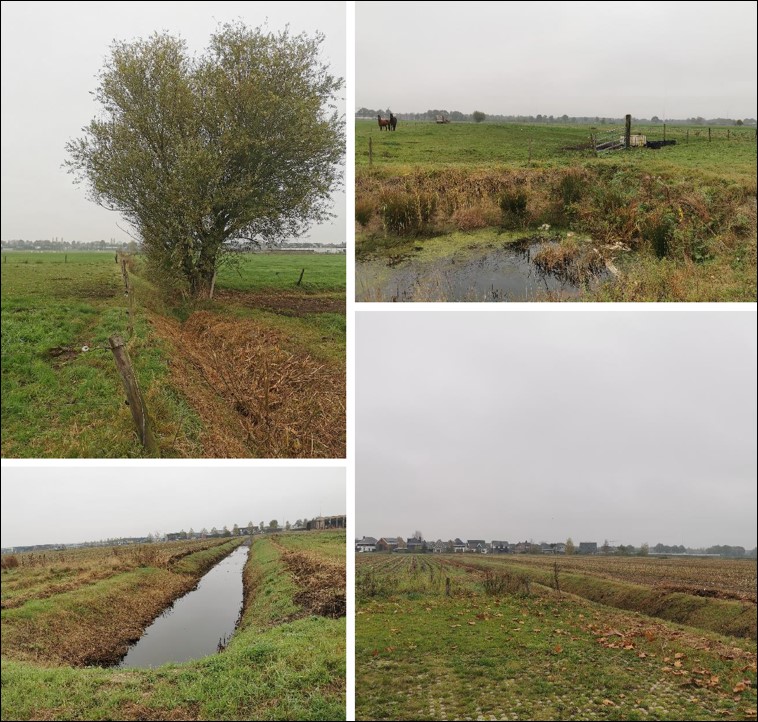 afbeelding "i_NL.IMRO.0180.TAMOPH22f-VS01_0003.jpg"