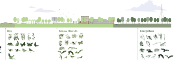 afbeelding "i_NL.IMRO.0193.TAMh22i-0004_0025.png"