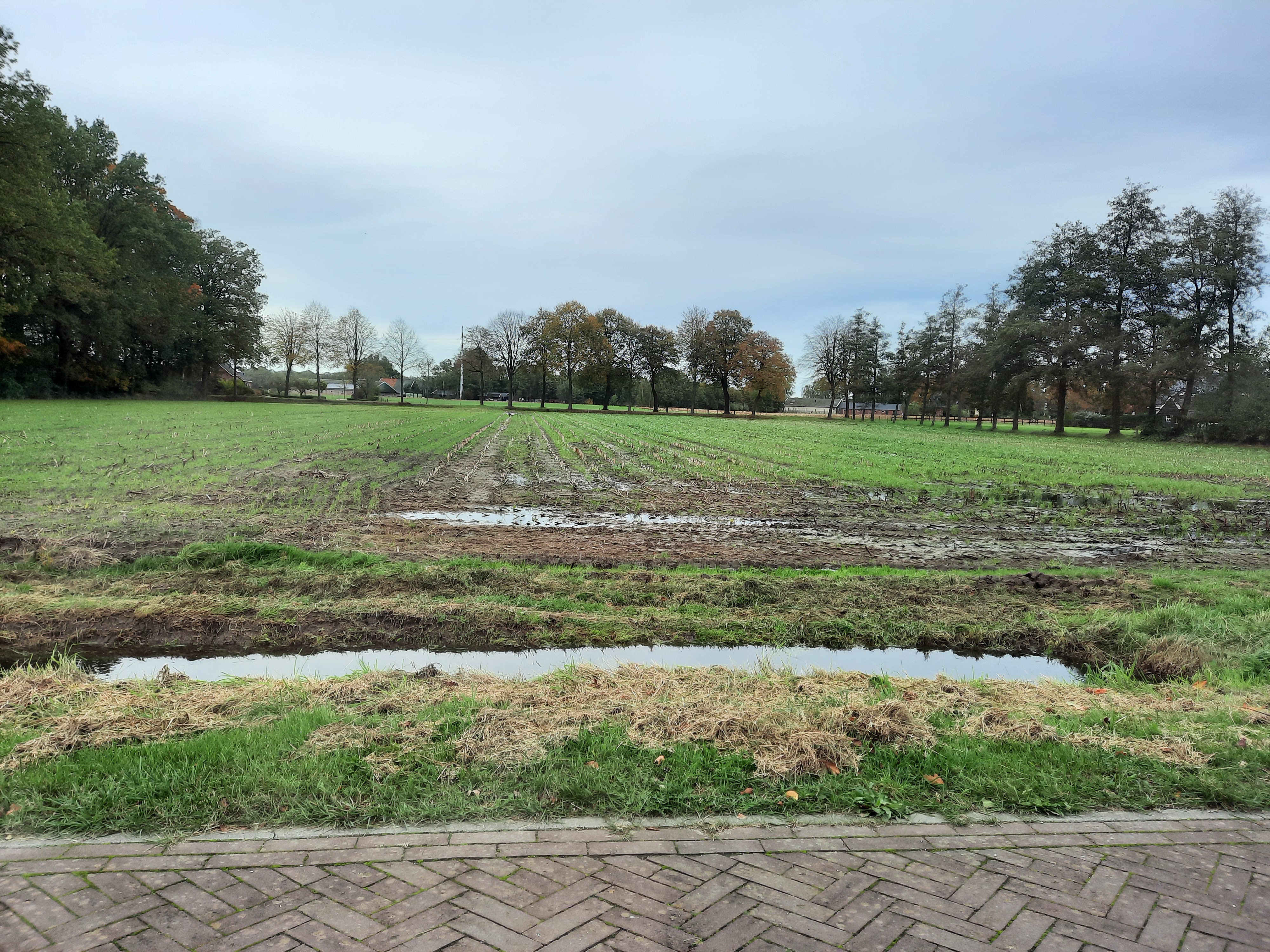 afbeelding "i_NL.IMRO.0197.TAM20240002-VG01_0004.jpg"
