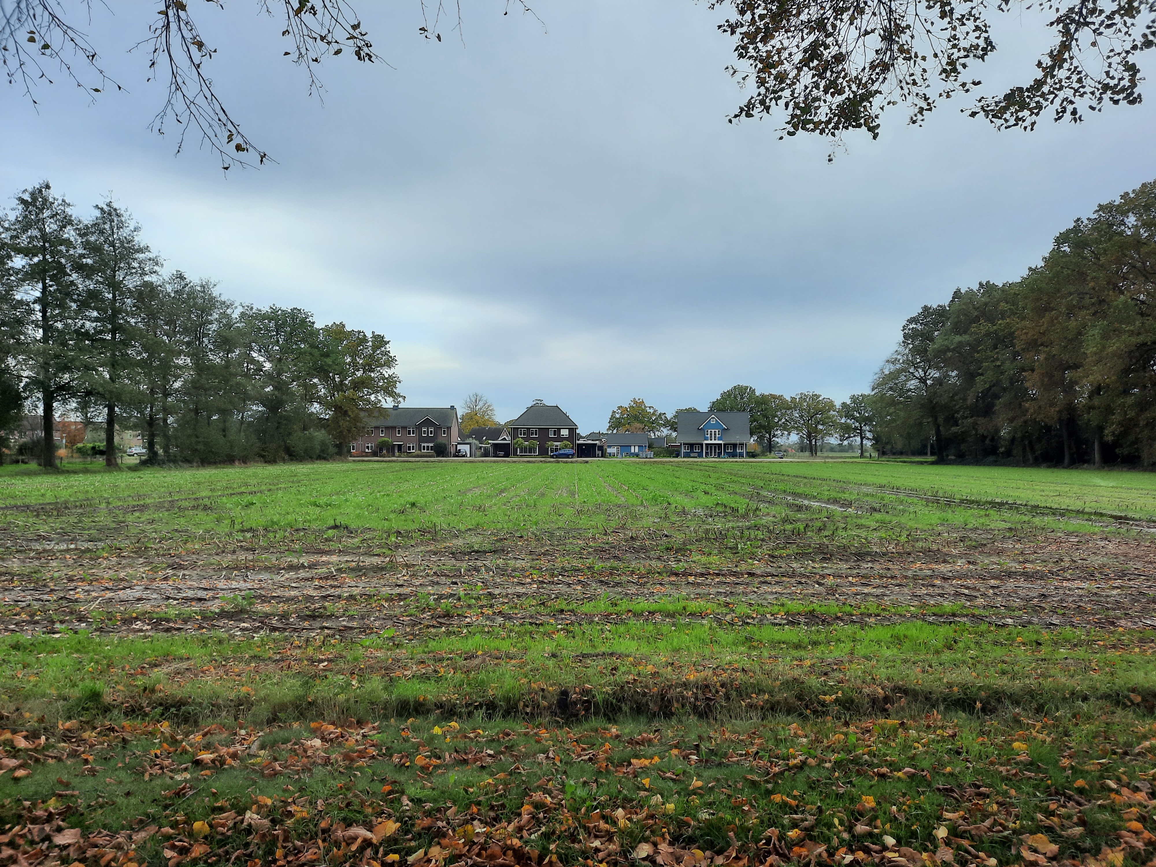 afbeelding "i_NL.IMRO.0197.TAM20240002-VG01_0005.jpg"