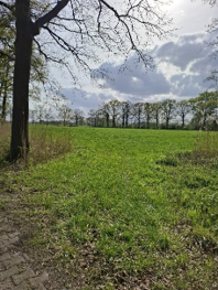 afbeelding "i_NL.IMRO.0203.TAMOP0041-0002_0008.png"