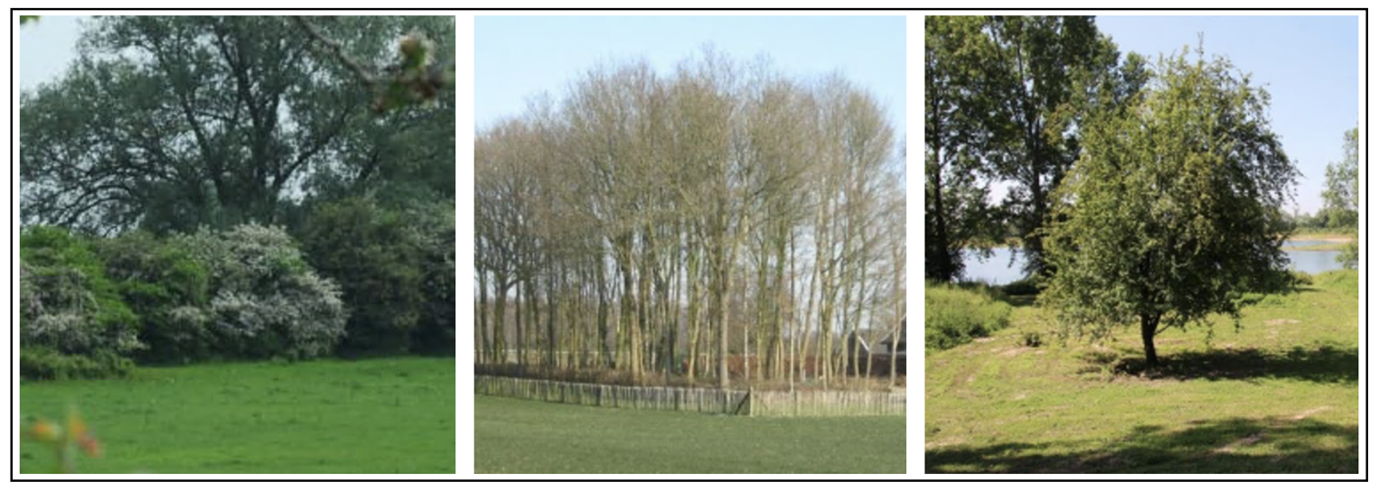 afbeelding "i_NL.IMRO.0213.TAMBG7012-va01_0002.png"