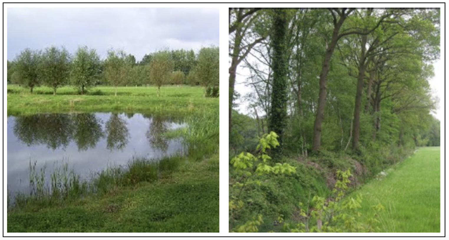 afbeelding "i_NL.IMRO.0213.TAMBG7012-va01_0003.png"