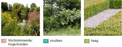 afbeelding "i_NL.IMRO.0214.OMMOmmrnvldswg69-BVA1_0011.png"
