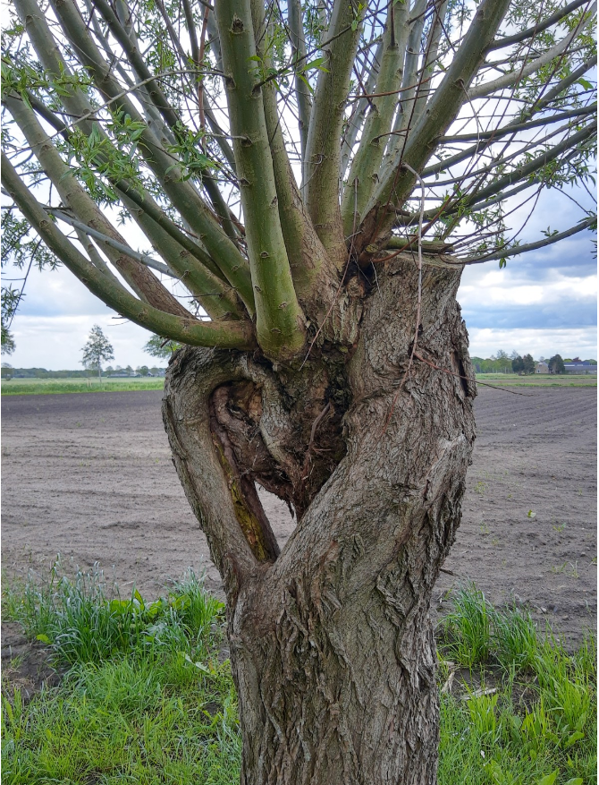 afbeelding "i_NL.IMRO.0230.BPHUISDIJK18EN18A-VST1_0019.png"