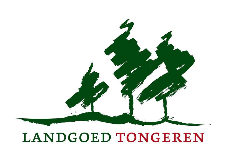 afbeelding "i_NL.IMRO.0232.BG026LdgdTongeren-VBP1_0002.jpg"