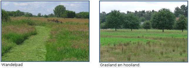 afbeelding "i_NL.IMRO.0232.BG029LandgdBeekdal-VBP1_0011.jpg"