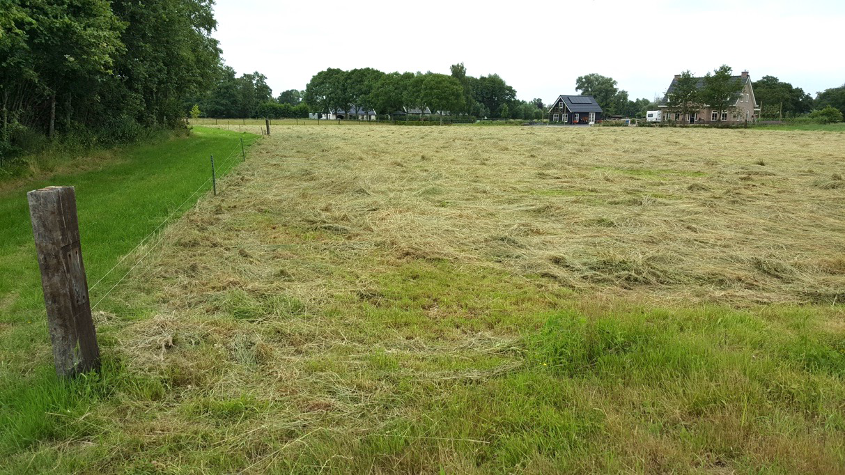 afbeelding "i_NL.IMRO.0232.BG083KoperenMolen-OWP1_0005.png"