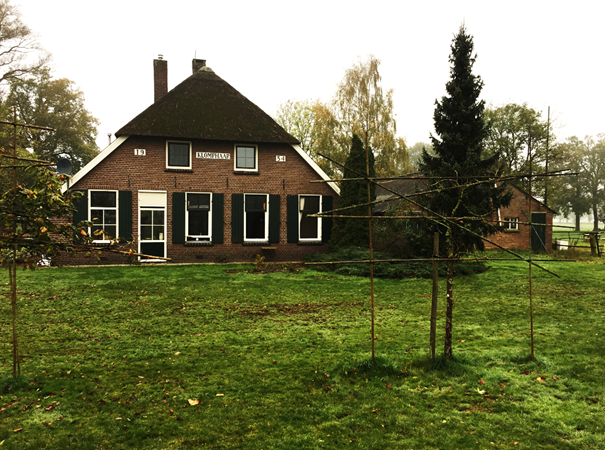 afbeelding "i_NL.IMRO.0262.buHazelberg3Ba-BP41_0004.png"