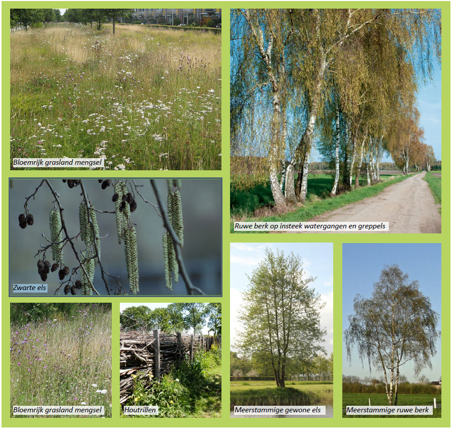 afbeelding "i_NL.IMRO.0267.BP0188-0003_0015.png"
