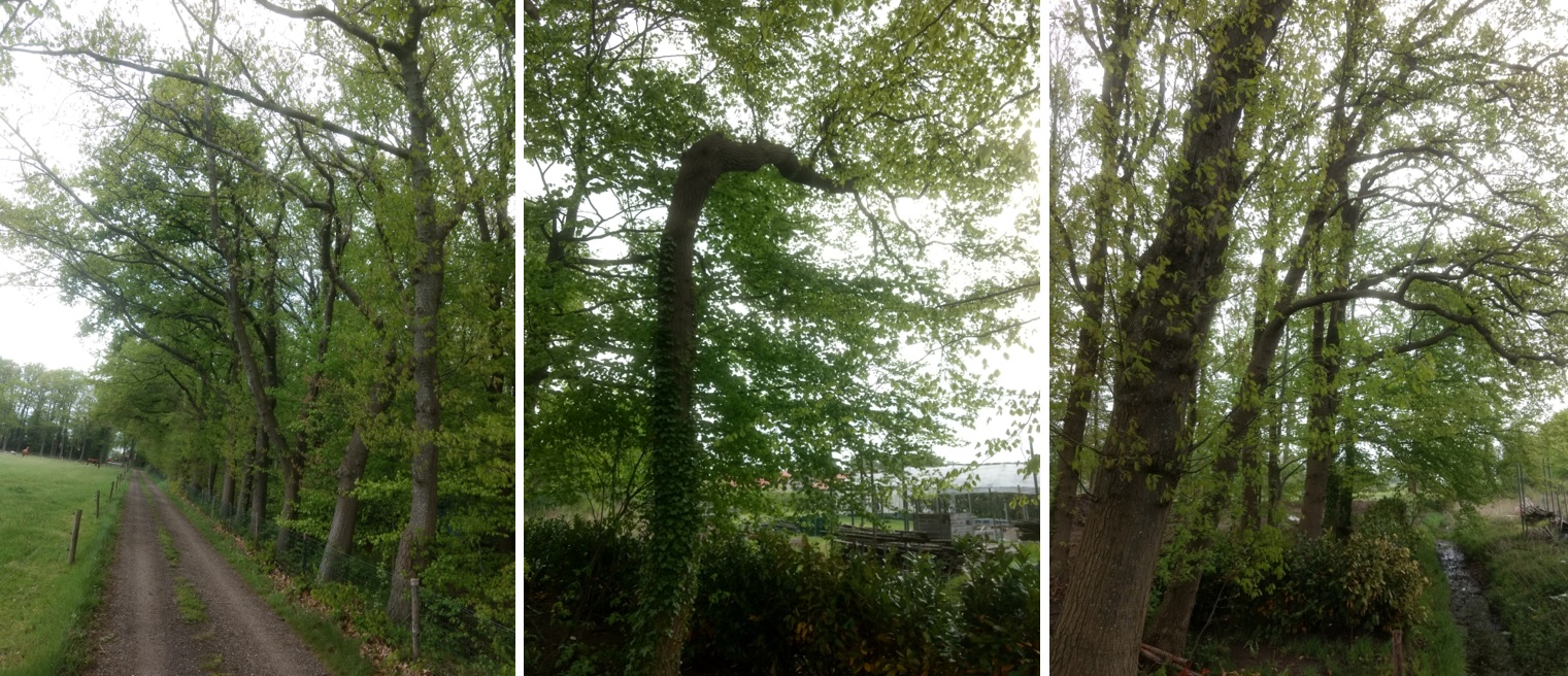 afbeelding "i_NL.IMRO.0269.BG170-ON01_0008.jpg"