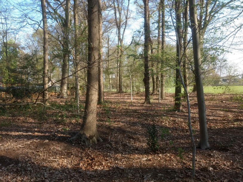 afbeelding "i_NL.IMRO.0269.BG170-ON01_0011.jpg"