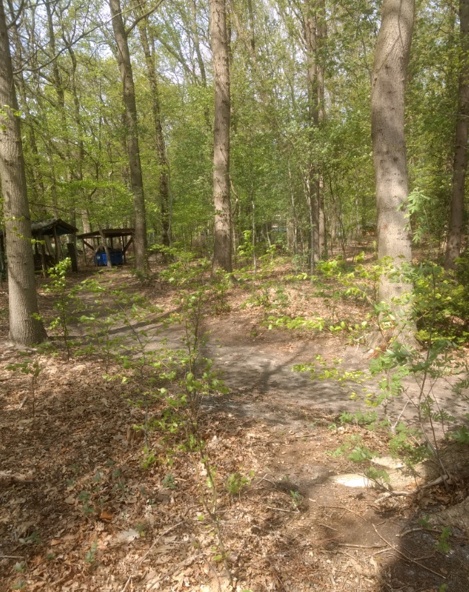 afbeelding "i_NL.IMRO.0269.BG170-ON01_0012.jpg"