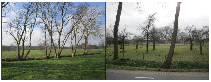 afbeelding "i_NL.IMRO.0273.BPBGBeulekampst31-ON01_0018.png"