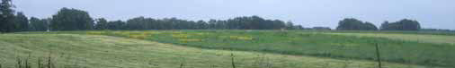 afbeelding "i_NL.IMRO.0294.BP1405BGVOSKW2EN4-VA01_0006.png"