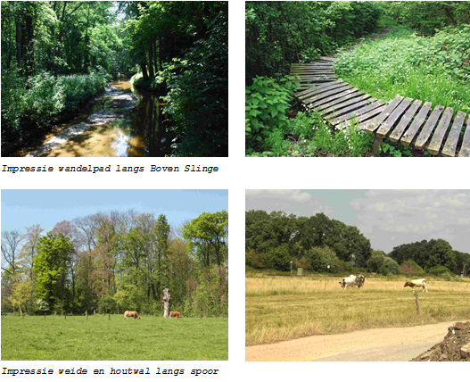 afbeelding "i_NL.IMRO.0294.BP2001SGDAVTERREIN-VA01_0004.png"