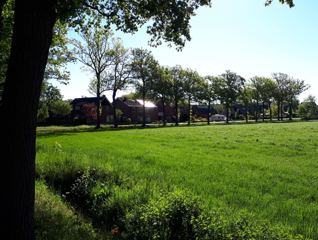 afbeelding "i_NL.IMRO.0294.BP2211BGGOSSELINKW-VA01_0004.jpg"