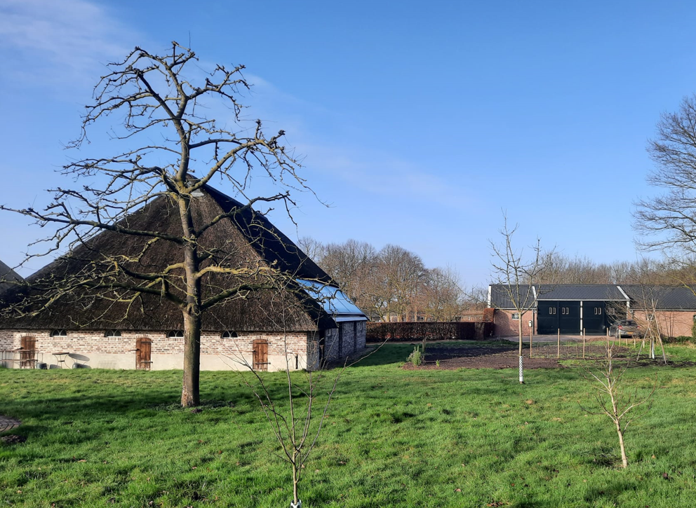afbeelding "i_NL.IMRO.0296.BGBKasteellaantj15-VG01_0017.png"