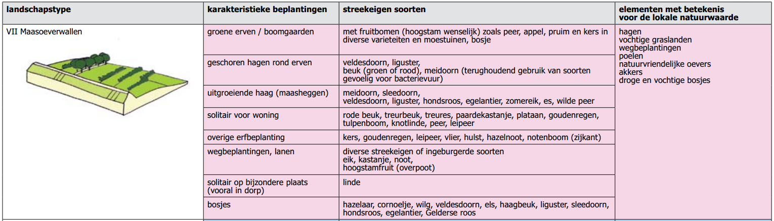 afbeelding "i_NL.IMRO.0296.BGYHoeveweg15-VG01_0009.png"
