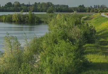 afbeelding "i_NL.IMRO.0303.D5004-VO01_0026.png"