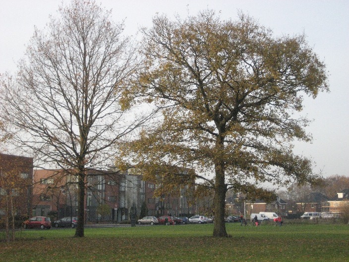afbeelding "i_NL.IMRO.0307.BP00094-0301_0013.jpg"