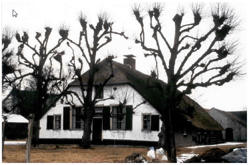 afbeelding "i_NL.IMRO.0307.BP00134-0301_0001.png"