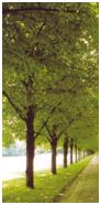 afbeelding "i_NL.IMRO.0313.HaarbrugZuid1200-0201_0062.png"