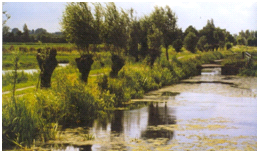 afbeelding "i_NL.IMRO.0313.HaarbrugZuid1200-0201_0070.png"