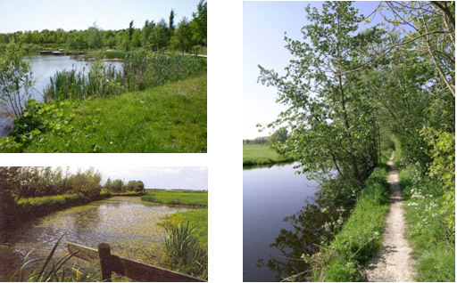 afbeelding "i_NL.IMRO.0313.HaarbrugZuid1200-0201_0072.jpg"