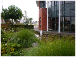 afbeelding "i_NL.IMRO.0313.HaarbrugZuid1200-0301_0043.png"