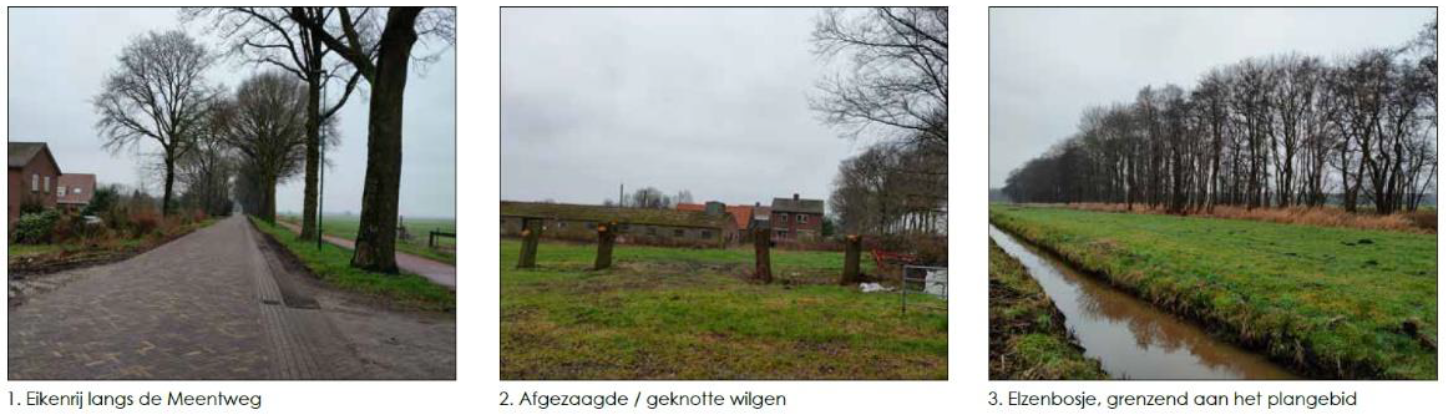 afbeelding "i_NL.IMRO.0317.WpMeentweg103a105-VG01_0021.png"