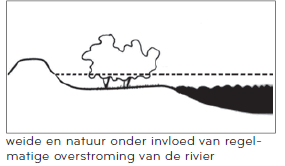 afbeelding "i_NL.IMRO.0340.BPRvRVeenweg10-VA01_0024.png"