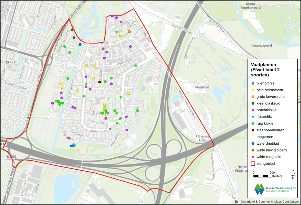 afbeelding "i_NL.IMRO.0344.BPOOGINALLUNETTEN-VA01_0027.png"