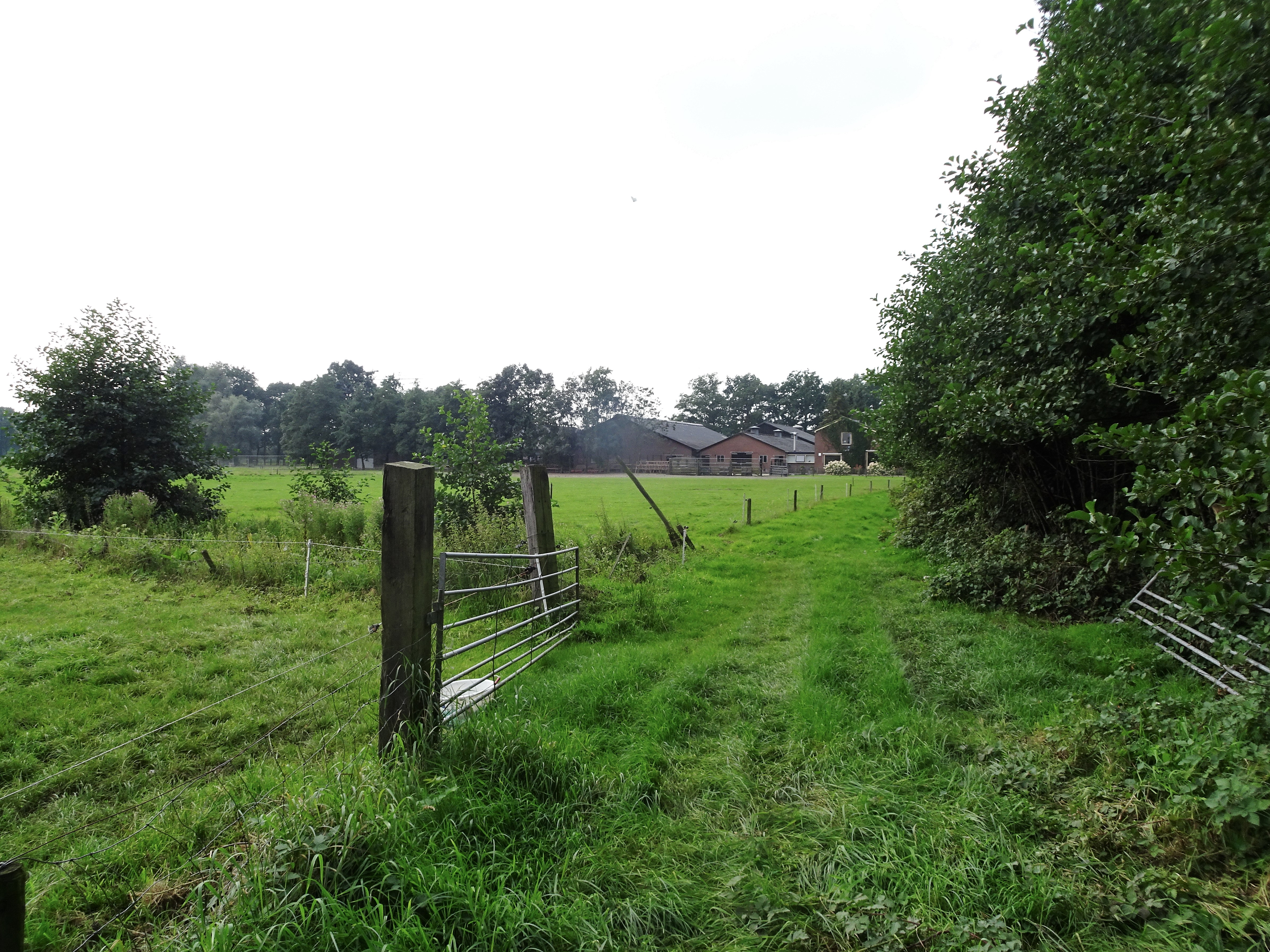afbeelding "i_NL.IMRO.0351.Rumelaarseweg34-ow01_0001.jpg"