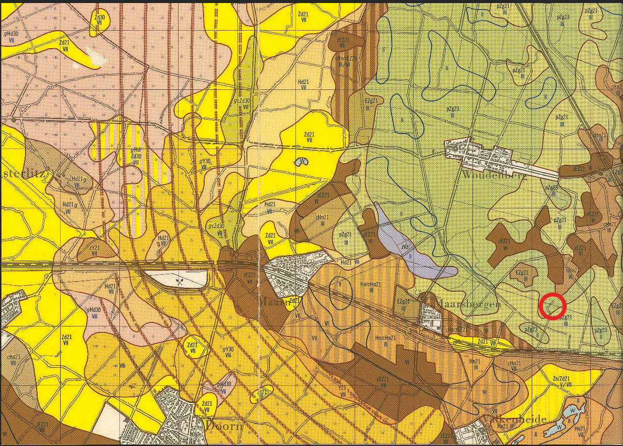 afbeelding "i_NL.IMRO.0351.Rumelaarseweg34-ow01_0007.jpg"
