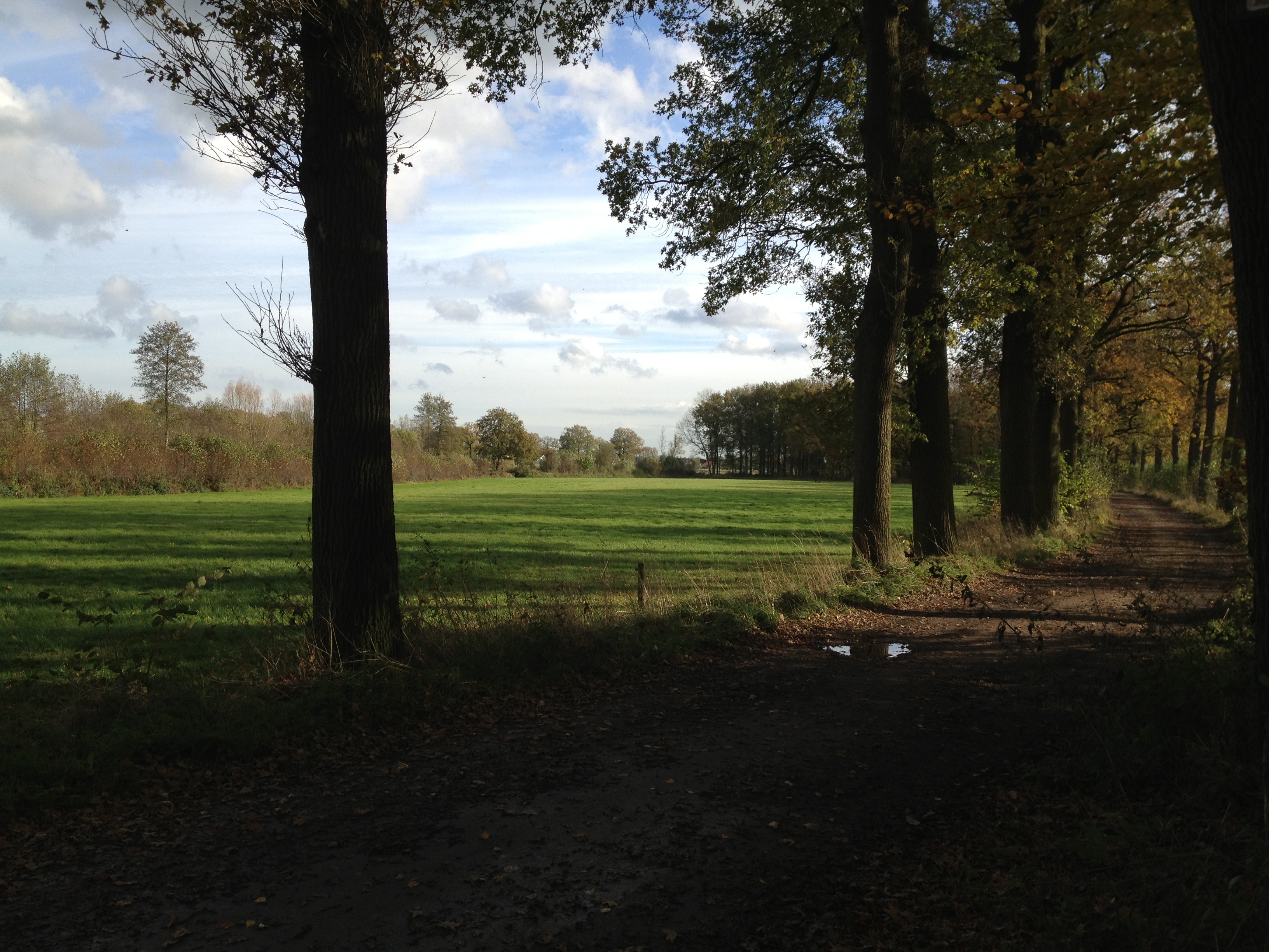 afbeelding "i_NL.IMRO.0351.Rumelaarseweg34-ow01_0008.jpg"