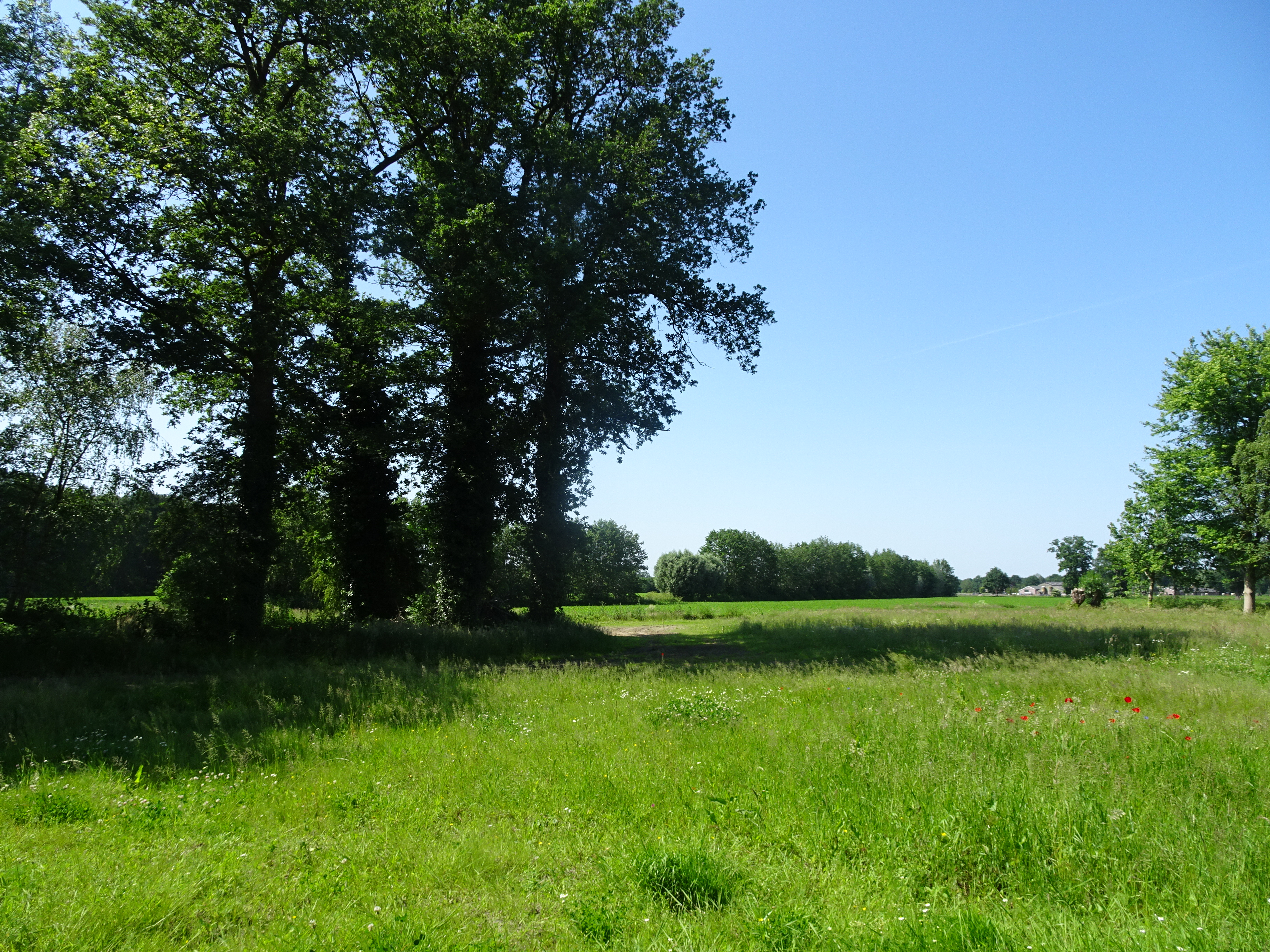 afbeelding "i_NL.IMRO.0351.WPDashorsterweg41-ow01_0001.jpg"