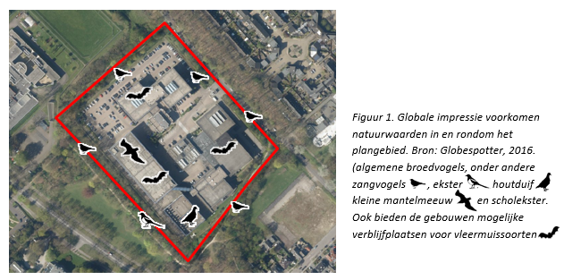 afbeelding "i_NL.IMRO.0355.BPLaanvEikenstein9-VS01_0022.png"