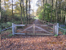 afbeelding "i_NL.IMRO.0417.BPScoutingLW-Va02_0004.png"