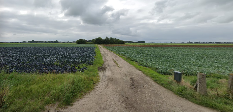 afbeelding "i_NL.IMRO.0420.WPOosterboekelwg70-VA01_0007.png"