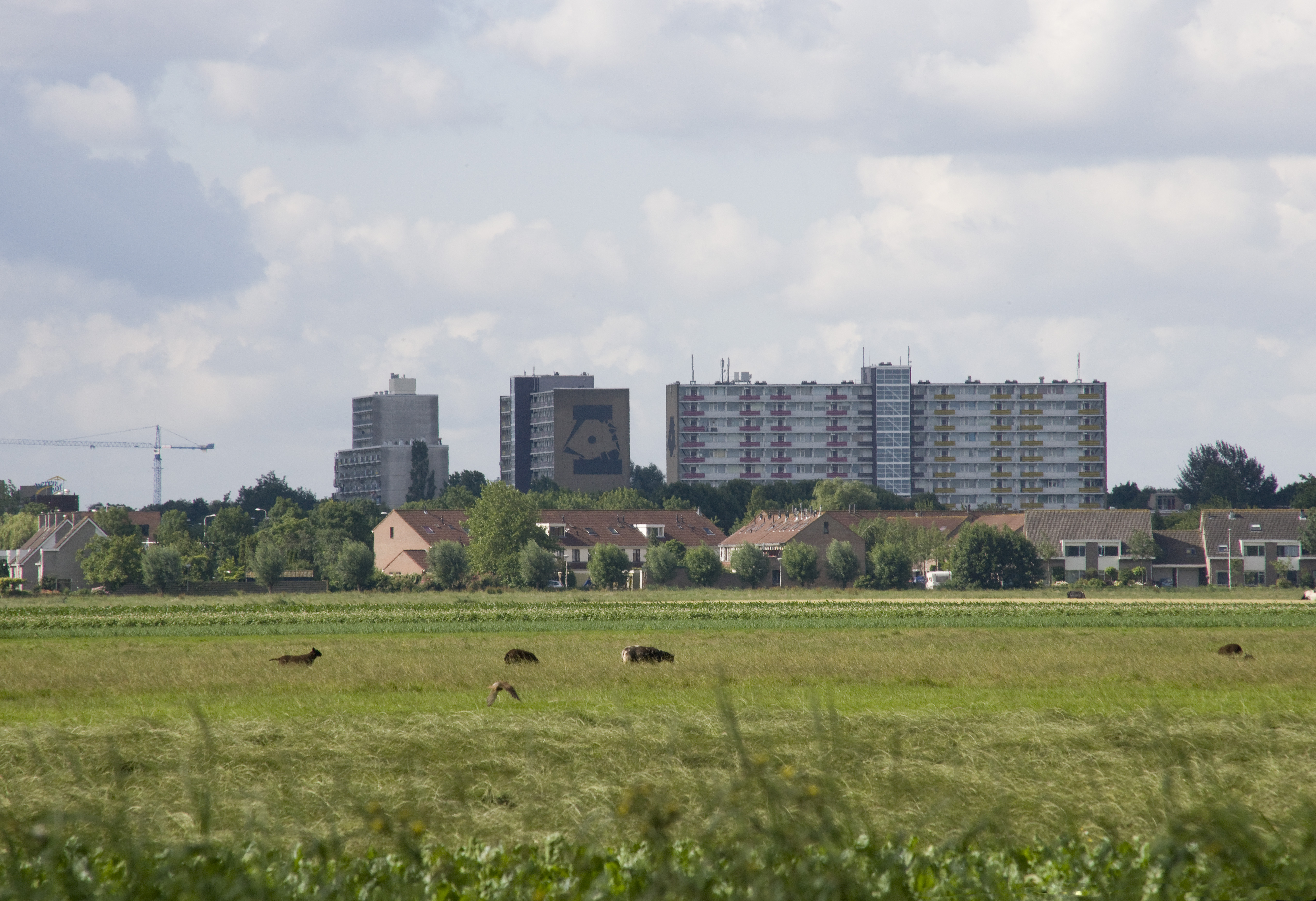 afbeelding "i_NL.IMRO.0484.B084buitengebalpnd-VA02_0008.jpg"