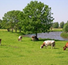 afbeelding "i_NL.IMRO.0484.OPrijnhavenoost21-VA02_0039.png"