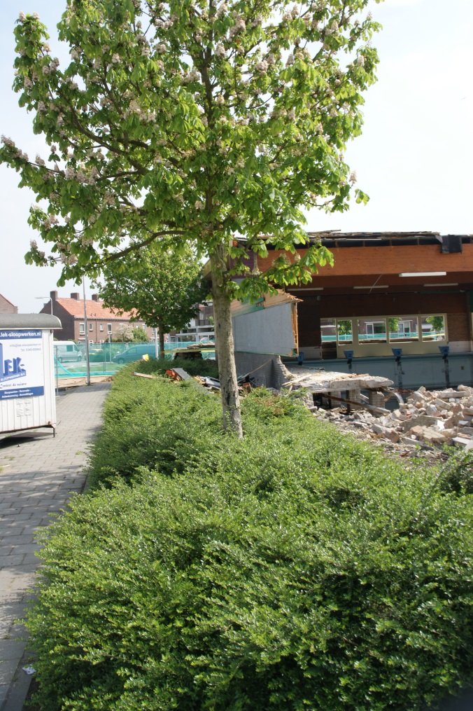afbeelding "i_NL.IMRO.0513.0711BPtous35-DF01_0009.jpg"
