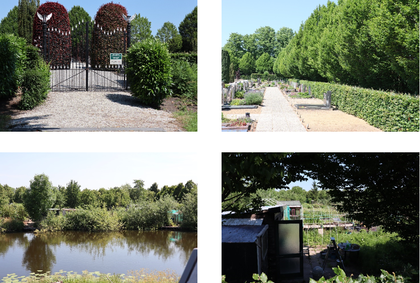 afbeelding "i_NL.IMRO.0589.BPWaardsedijk106-ON01_0004.png"