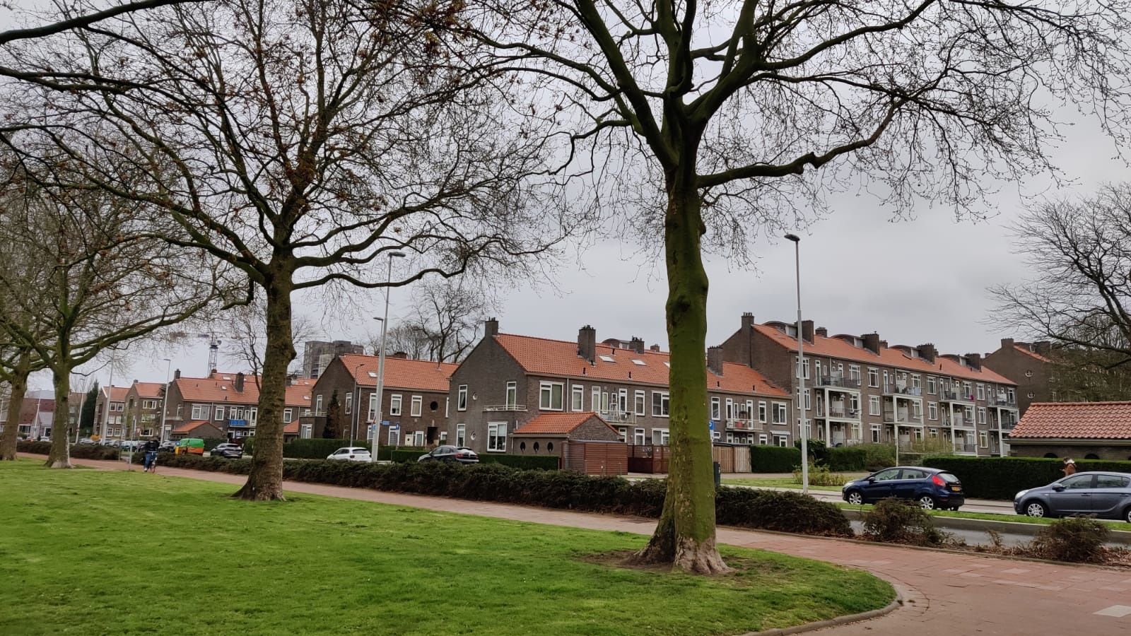 afbeelding "i_NL.IMRO.0599.BP1118PapluCultCW-va02_0007.png"