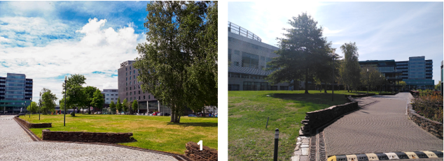 afbeelding "i_NL.IMRO.0603.bpcampusatthepark-VA01_0006.png"