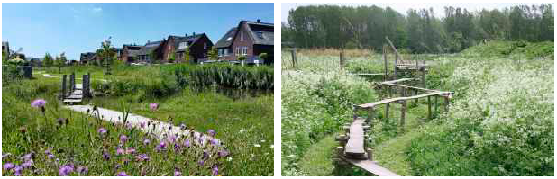 afbeelding "i_NL.IMRO.0613.TAMSchutskooiwijk-VST1_0006.png"